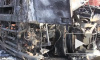 Ужасная катастрофа в Подмосковье: две фуры сгорели дотла в ДТП